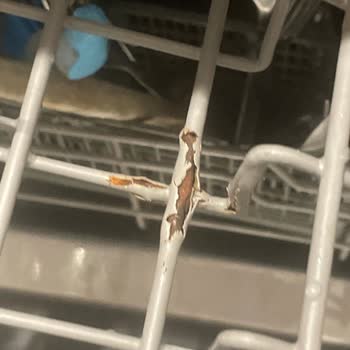 Teka Bulaşık Makinesi Rafı Kapladı Ve Paslandı.