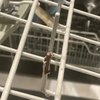 Teka Bulaşık Makinesi Rafı Kapladı Ve Paslandı.