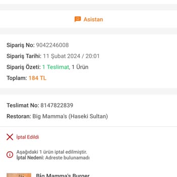 Trendyol Yemek Kredi Kartı İadesi