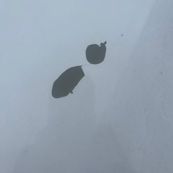 Opel Aracımda Boya Atması