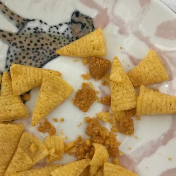 Patos İçinden Çıkan Değişik Cips