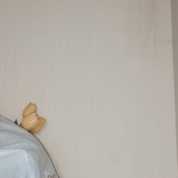 Marshall Birkaç Ay Sonra Akma Yapıyor