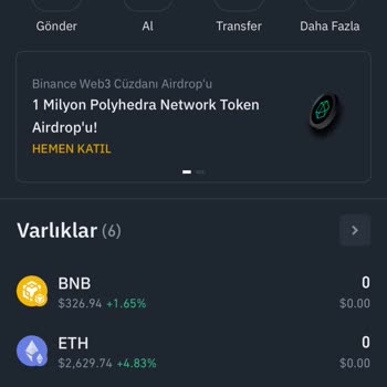 Binance Web Bakiye Kayıp.!