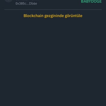 Binance Web Bakiye Kayıp.!