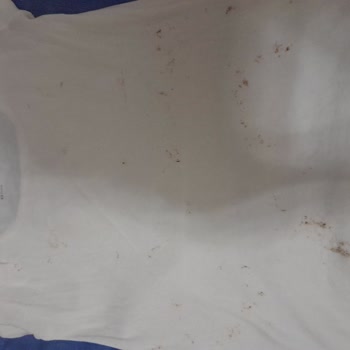 Beko Çamaşırlarda Pas Lekesi