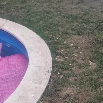 Montena Bungalov Montena Sapanca Bizi Mağdur Etti