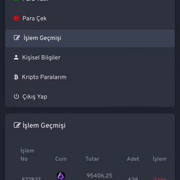 Turkeycoinsmarket.com Yatırım Deneyimim Ve Yaşadığım Sorunlar