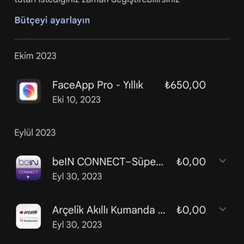 FaceApp Faceap Pro Kullanamıyorum