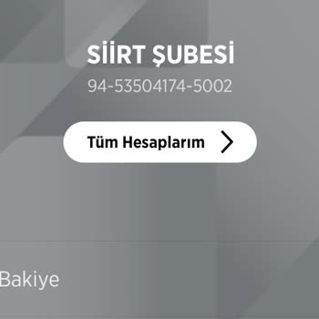 Ziraat Bankası Bankacılık İşlemlerinde Yaşanan Sorunlar