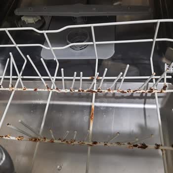 Beko Bulaşık Makinesi Alt Sepet Paslanma Şikayeti