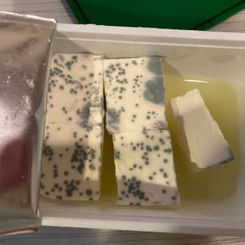 Pınar Et ve Süt Marketten Satın Alınan Süzme Peynirde Küf Sorunu