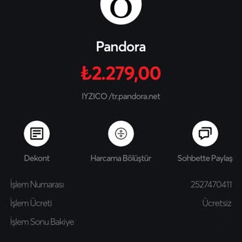 UPS Türkiye Pandora Siparişim Kayıp: Sevgililer Günü Yaklaşırken Endişelerim!