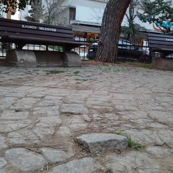 Kadıköy Belediyesi Kozyatağı Mahallesi Çocuk Parkındaki Tehlikeli Çıkıntılı Taşlar