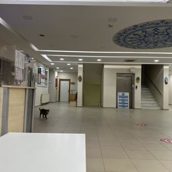 Esenyurt Şerife Bacı Halk Eğitimi Merkezi Mesai Saati Başlangıcı