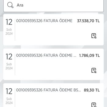 Enerjisa Toroslar Elektrik Perakende Kredi Kartından Kesilen Faiz