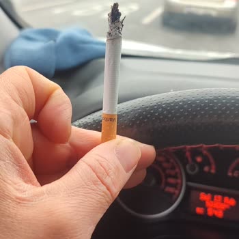 Marlboro Kalitesizliği Tütün