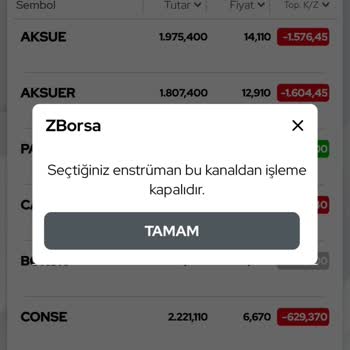 Ziraat Yatırım ZBorsa Hesabımdan Aldığım Yeni Halka Arz Hissesi Grafiğini Göremiyorum