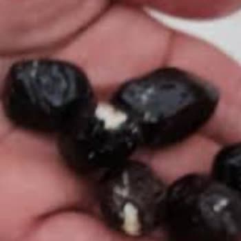 Tukaş Zeytin Ve Domates Sos