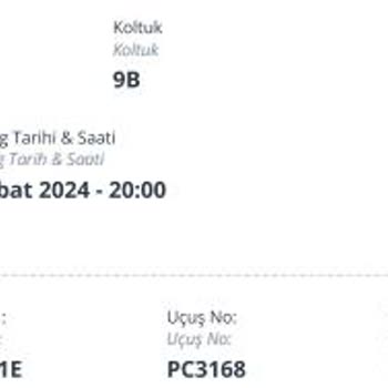 27 Aylık Çocuğa Uygun Koltuk Tahsisi Yapmayan Pegasus