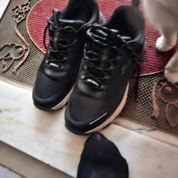 Skechers Su Geçirmez Dedikleri. Ayakkabı Su Geçiriyor