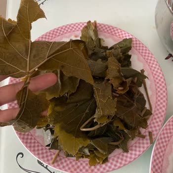 Yurtalan Yaprak Bir Daha Tercih Etmem