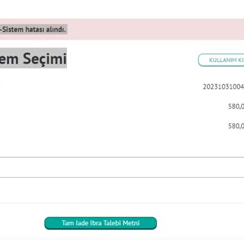 Findeks E-Teminat Mektubu İade Hatası