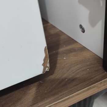 Tabu Mobilya (İzmir) İzmir Tabu Mobilyaya Girmeyin