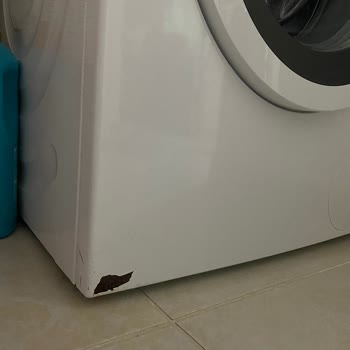 Bosch Beyaz Eşya Sorunu