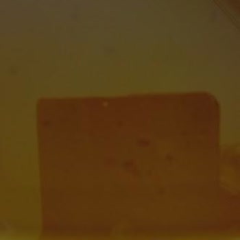 BİM 'den Aldığım "Komili Naturel Sızma Zeytinyağı" İçeriği Nedir?