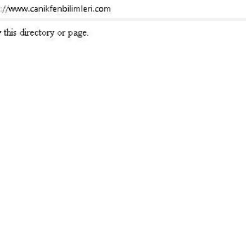Vargonen Technologies Vargonen Çöküş Hikayesi