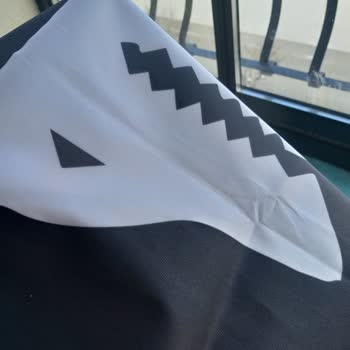 As Bayrak İlgisiz Ve Lakayıt Firma