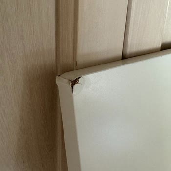 IKEA İkidir Kırık Parça Yolluyor, Değişim Talebim Takip Edilemiyor