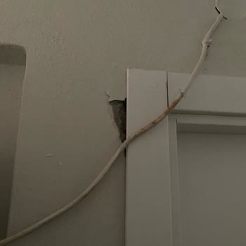 Bauhaus Bursa-Nilüfer Usta Hizmeti