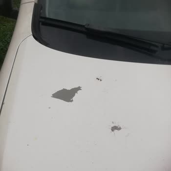 Nissan Aracımın Boya Atması Ve Mağdurluk Bir Durum Var