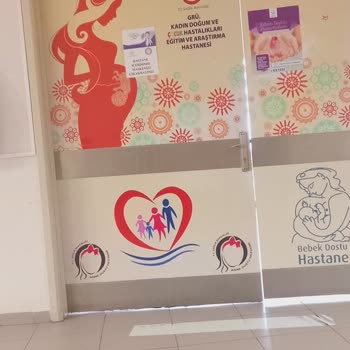 Giresun Kadın Doğum ve Çocuk Hastalıkları Hastanesi Giresun Kadın Doğum Hastanesi
