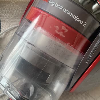 Çözüm Sunulmayan Dyson.