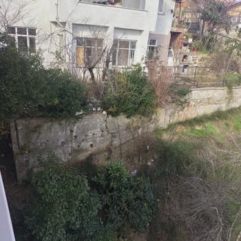 Beykoz Belediyesi Çatlak Duvar Yıkılacak