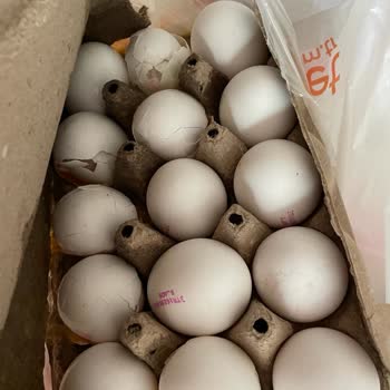 Migros Müşteri Hizmetleri İşini Yapmıyor