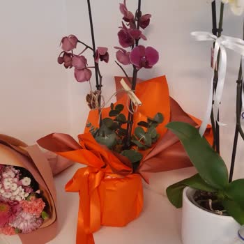 Taze Çiçek (tazecicek.com) Hayal Kırıklığı Yaratan Çiçek Siparişi