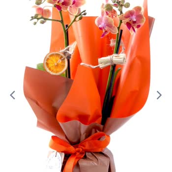 Taze Çiçek (tazecicek.com) Hayal Kırıklığı Yaratan Çiçek Siparişi