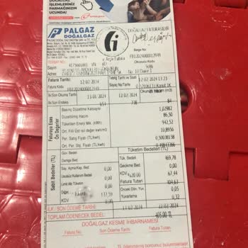 Palgaz Doğalgaz Devlet Desteği Kafasına Göre Kesmesi