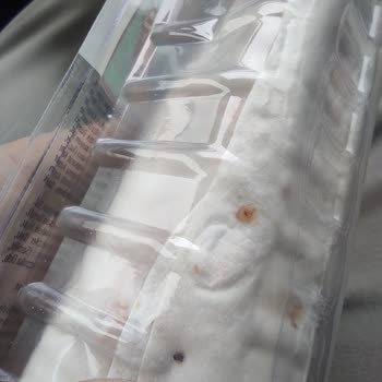 File Market'ten Alınan Üstade Çiğköftenin İçinde Sinek Çıktı