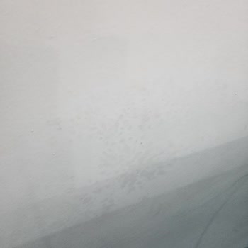 Sur Yapı Turkuaz Bitmeyen Sorunlar