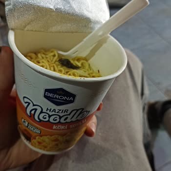 Berona Noodle Kedi Pislik Çıktı