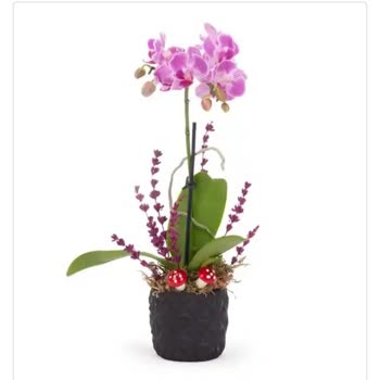 Osevio.com Solmuş Çiçek Gönderimi