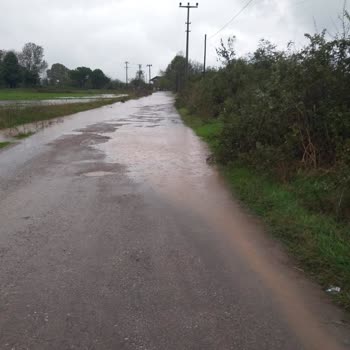 Kartepe Belediyesi Sokağımıza Asfalt Dökülmüyor