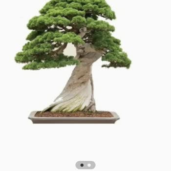 Trendyol Eksik Ürün, Stok Yetersizliği Yalanı