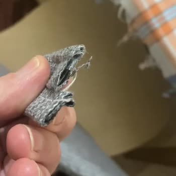 mutfakmodadekor1 (Instagram) Yanlış Ürün Lütfen Artık Sonuçlansın