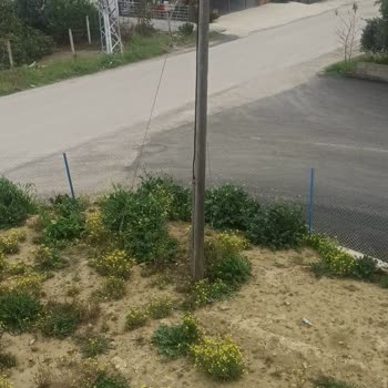 Parselim Telefon Direk Var Türk Telekom