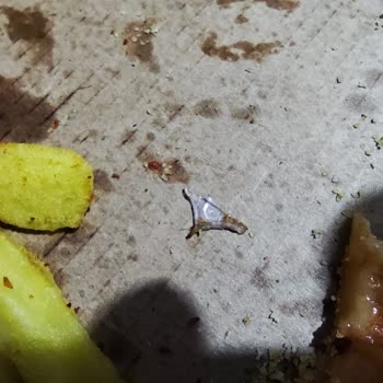 Pizza Hut Pizzada Plastik, Keskin Yabancı Madde.